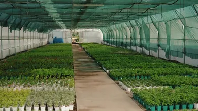 Unlocking Agricultural Potential with Agricultural Nets